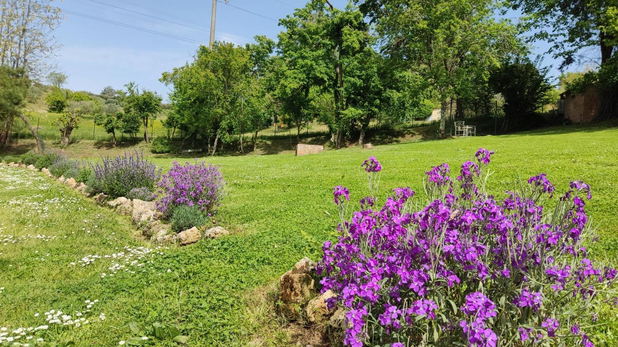 Agriturismo Le Grondaie سيينا المظهر الخارجي الصورة