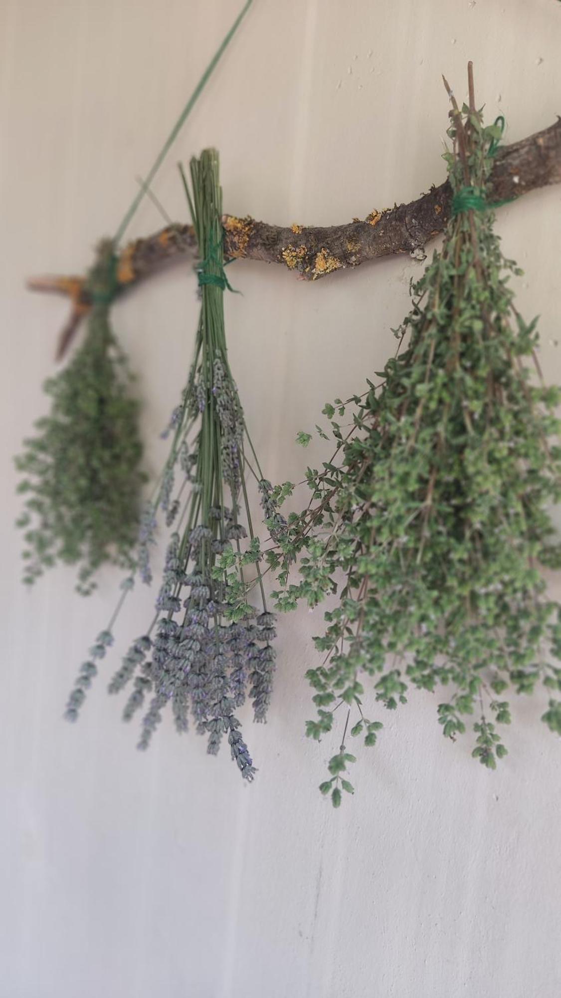 Agriturismo Le Grondaie سيينا المظهر الخارجي الصورة